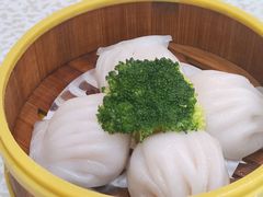 虾饺-贝岭居酒楼(黄贝路店)