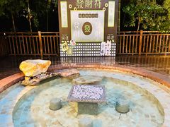 -天目湖涵田半山温泉