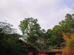 -深圳国际园林花卉博览园