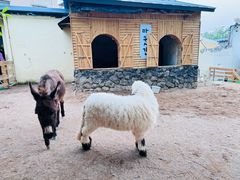 -HERRE·FARM 赫尔露营农场·团建聚会包场