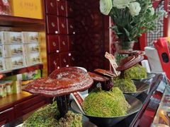 -中卫御苑福膳·养生局(圆明园店)