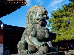 -颐和园