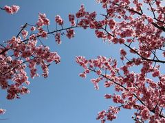 -龙口南山旅游景区