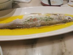 清蒸太湖白鱼（份）-京华烟云·北京烤鸭(领展购物广场·中关村店)