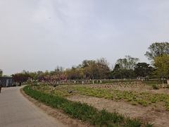 -绿堤公园