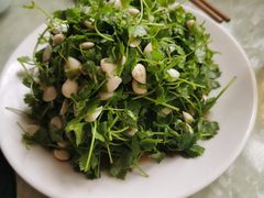 -宝弟羊汤面(政七街店)