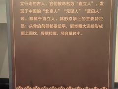 -贵州省博物馆(新馆)