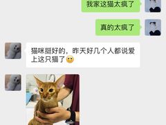 -西安京西宠物医院·瘫痪·疑难杂症