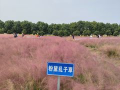 -嘉北郊野公园