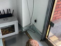 -汪喵宠物医院·骨科心脏影像·犬猫急重症ICU诊疗中心(成华分院)