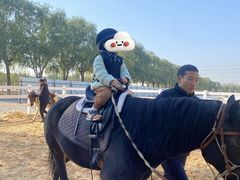 -世纪飞马幼儿园(西城校区)