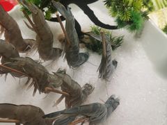 -南门四季铜锅涮肉(大屯·北苑店)