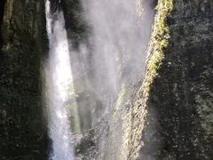 -鹿院坪生态旅游景区