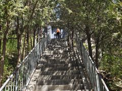 -白水寺森林公园