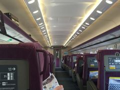 -文府路口(Taiwan High Speed Rail Zuoying Station)