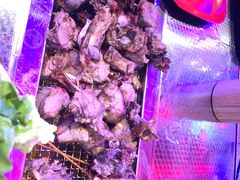 -乌兰烧烤·烤羊腿(西丽店)