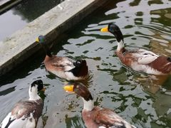 -扬州瘦西湖汇金酒店