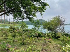 -露天矿生态公园