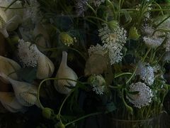 -知物癖(牛王庙店)