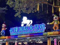 -广州长隆国际大马戏