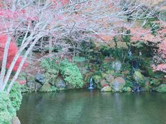 -醍醐寺