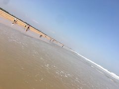 -日照海滨国家森林公园