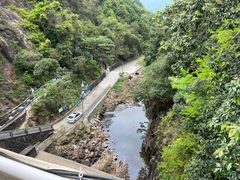 -广州市流溪河国家森林公园