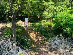 -北京鹫峰国家森林公园