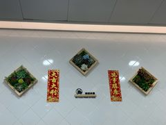 -喜莲咖啡