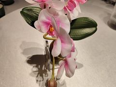 -大鸭梨烤鸭(望京店)