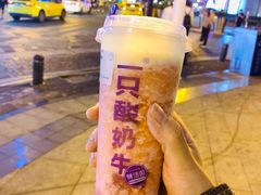 -一只酸奶牛(八一路店)