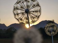 -云漫湖生态度假公园