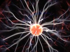 -陕西自然博物馆