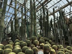 -南山植物园