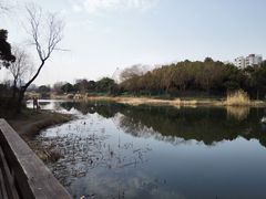 -新江湾城公园