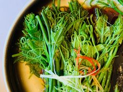 丝瓜尖-松鹤楼·非遗·苏帮菜(融科店)