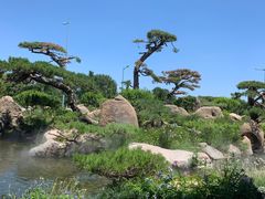 -罗红摄影艺术馆