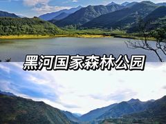 -黑河国家森林公园