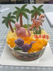 -五洲妇儿医院