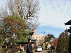 -医王山·飞騨国分寺