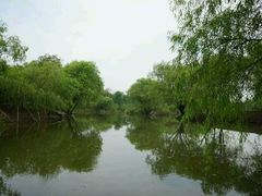 -长兴太湖图影湿地文化园
