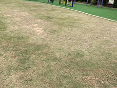 -青龙山公园
