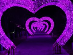 -莫子山公园