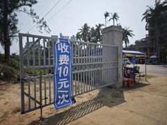 -东郊椰林
