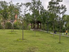 -白水寺森林公园