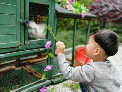 -成都安仁福朋喜来登酒店