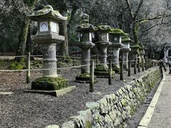 -奈良公园