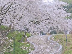 -杭州少年儿童公园