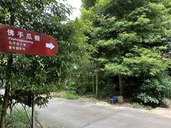 -凤栖山