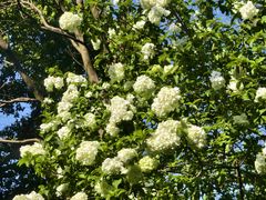 -杭州城北体育公园